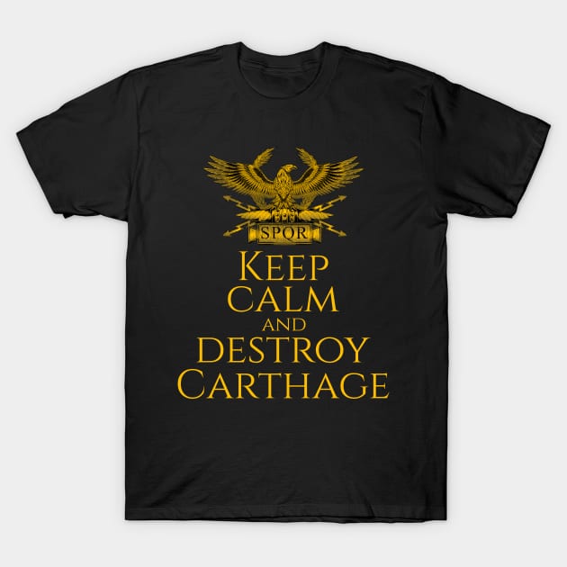 Keep Calm And Destroy Carthage - History Of Ancient Rome T-Shirt by Styr Designs